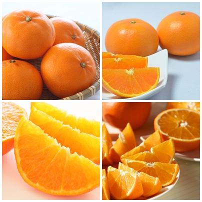 特上・紅まどんな