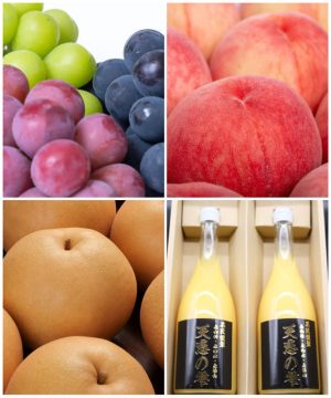 のせ果実のギフトフルーツ商品